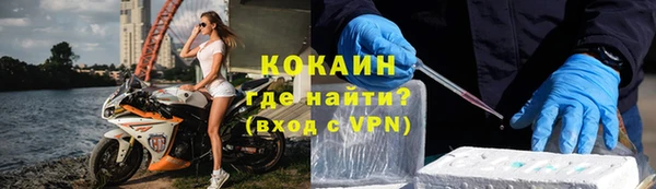 прущие грибы Орск