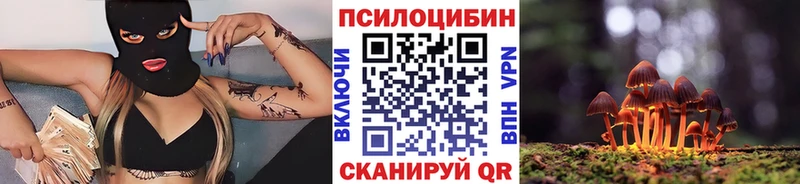 купить наркотик  маркетплейс телеграм  Галлюциногенные грибы Psilocybe  Белокуриха 